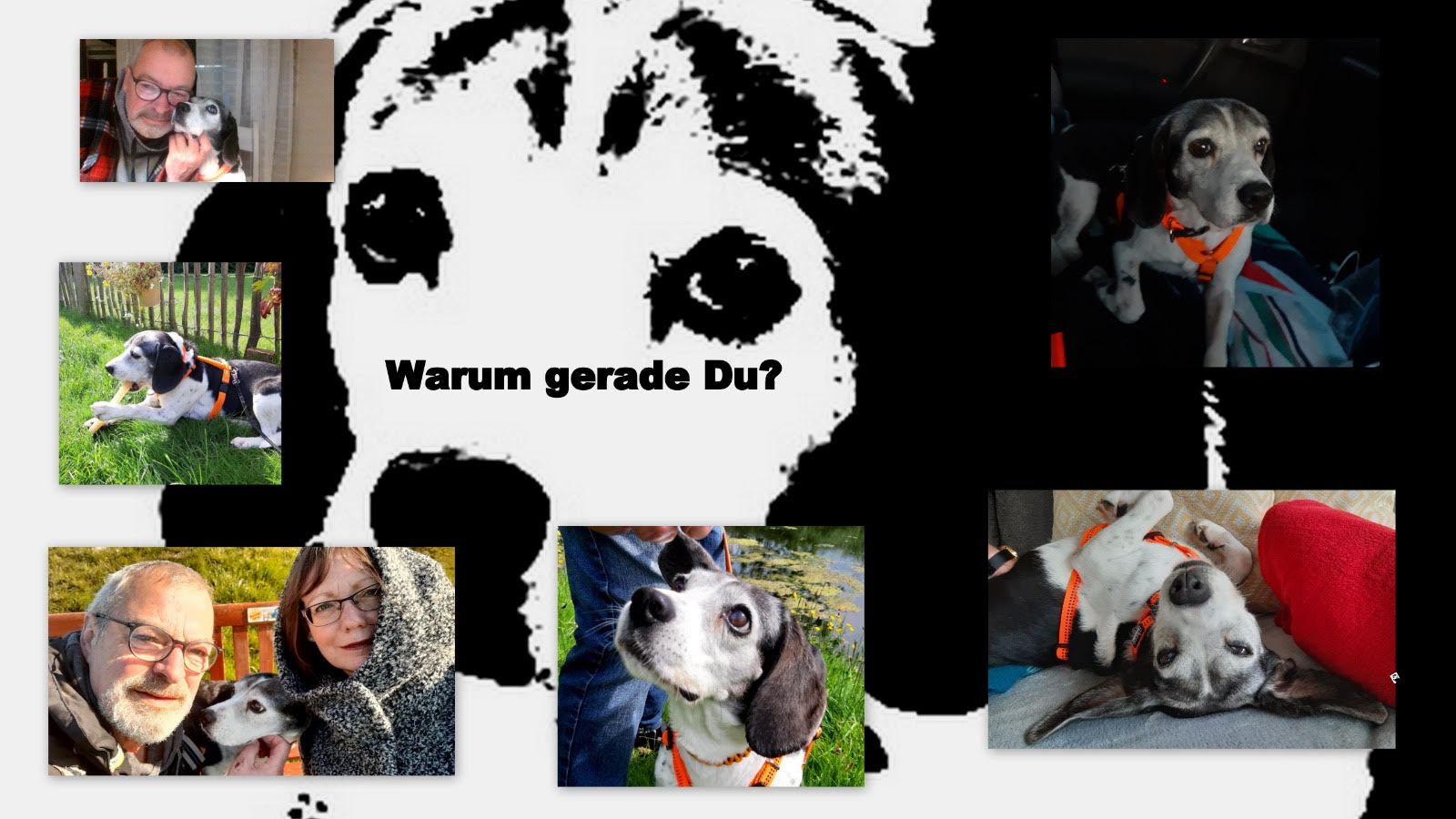 Berta unvergessen 01
