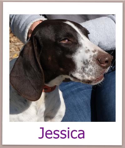Jessica Tierschutz Zypern Hund prof