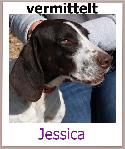 Jessica Tierschutz Zypern Hund vermittelt