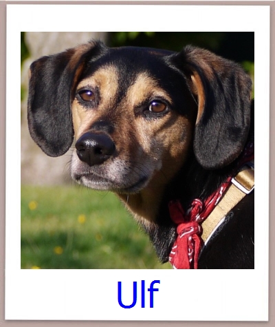 Ulf