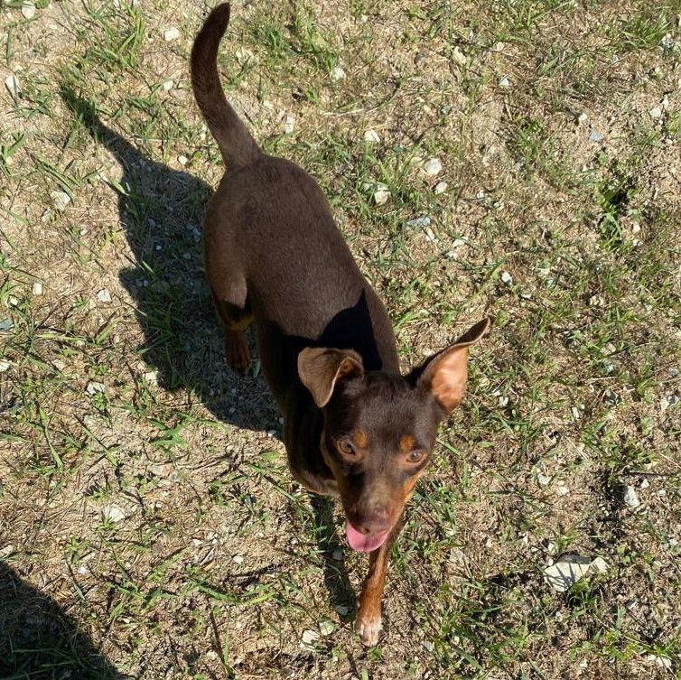 Benned Bilder Update 1
