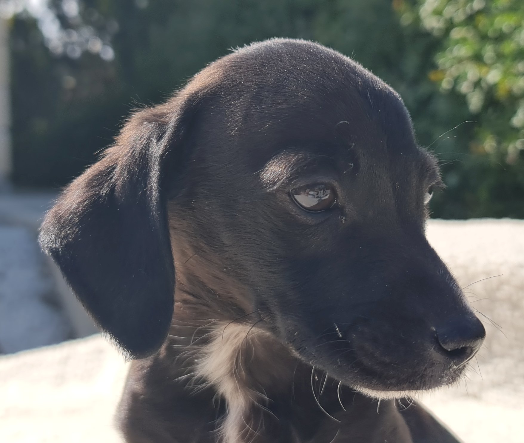 Winnie10