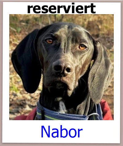 Nabor