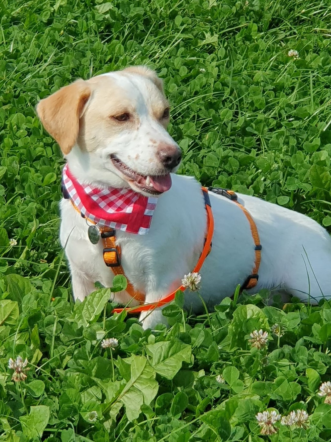 Susie