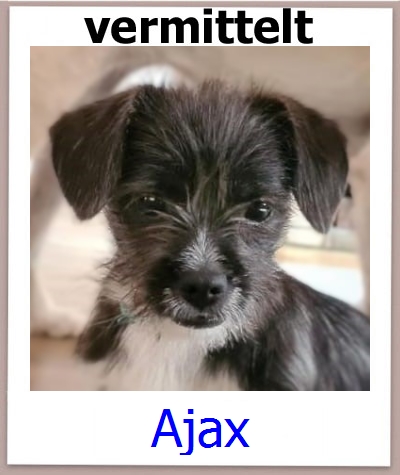 Ajax
