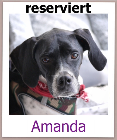 Amanda