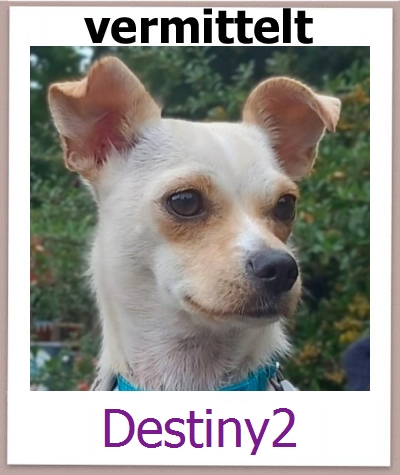 Destiny2