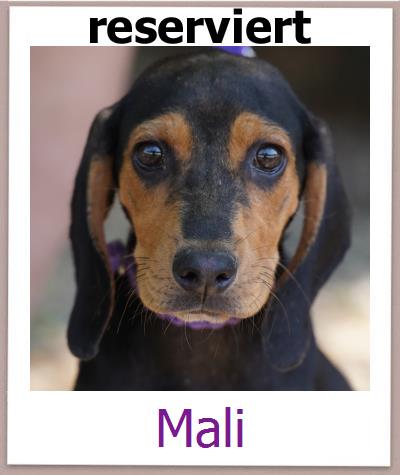 Mali
