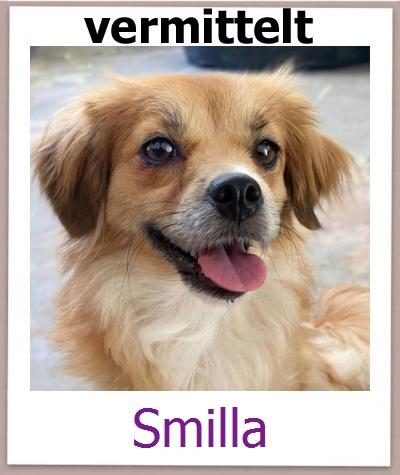 Smilla