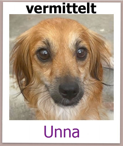 Unna