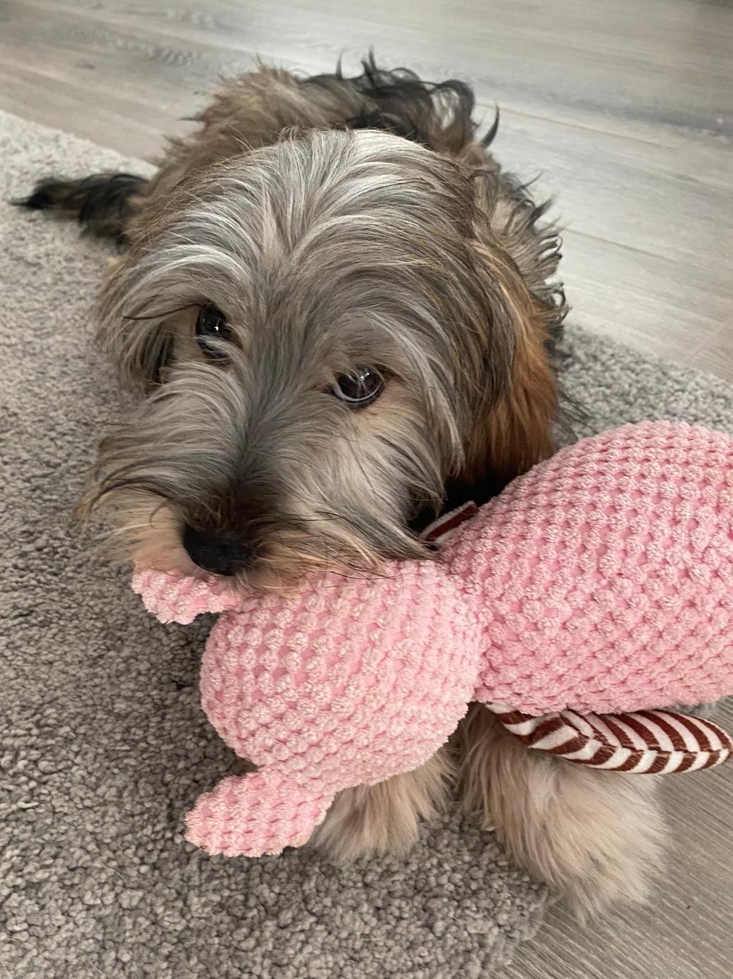 Fine BilderUpdate 03