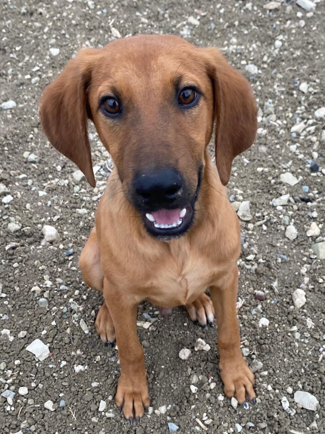 Kilian BilderUpdate 01