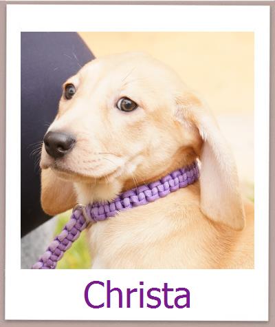Christa Tierschutz Zypern Hund prof
