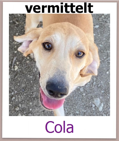 Cola