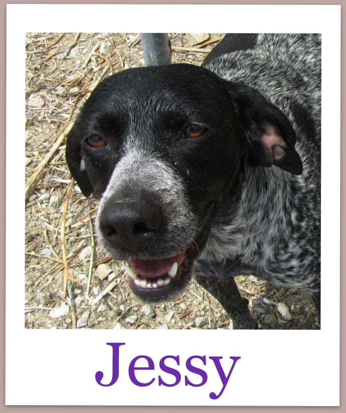 JessyProneu