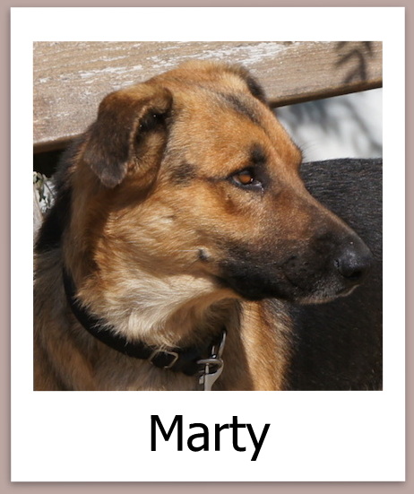 Marty