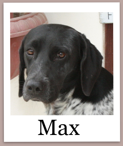 Max2Pro