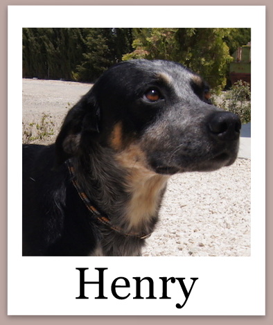 HenryProneu