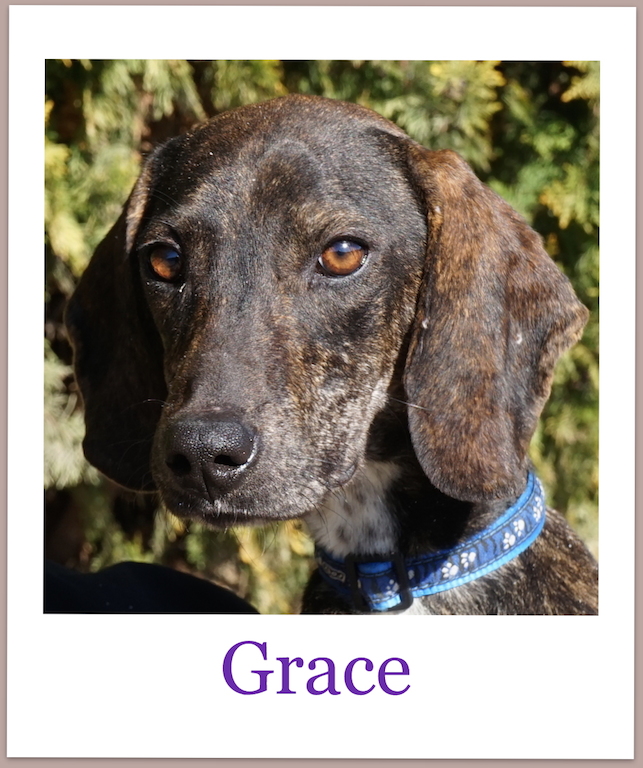 GracePro