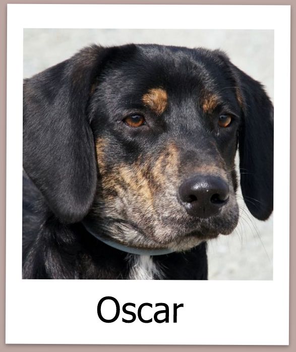 Oscar