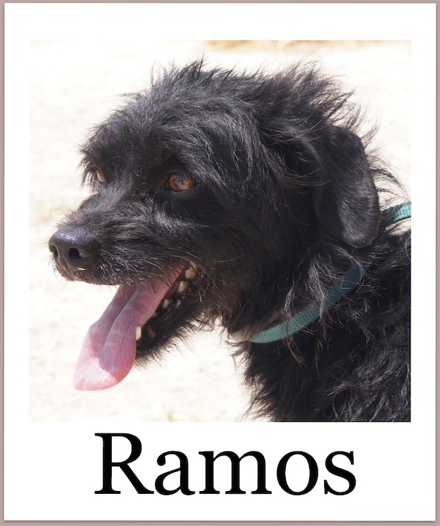 RamosPro