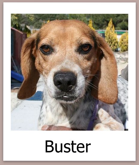 Buster