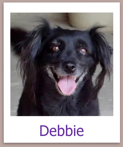 Debbie