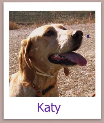 Katy