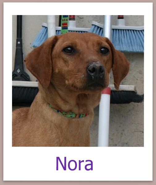 Nora