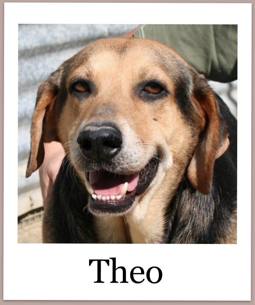 TheoPHPro