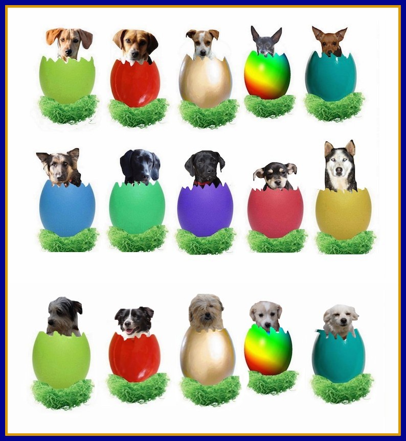 Ostern03 04 15FB
