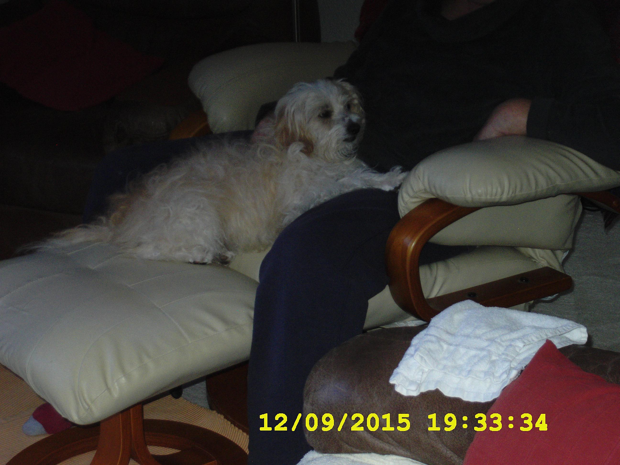 KiwiV