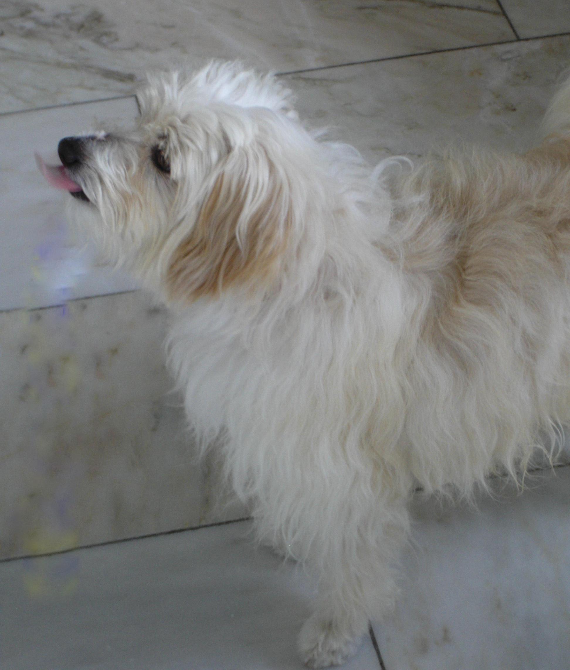 Kiwiiiiiii