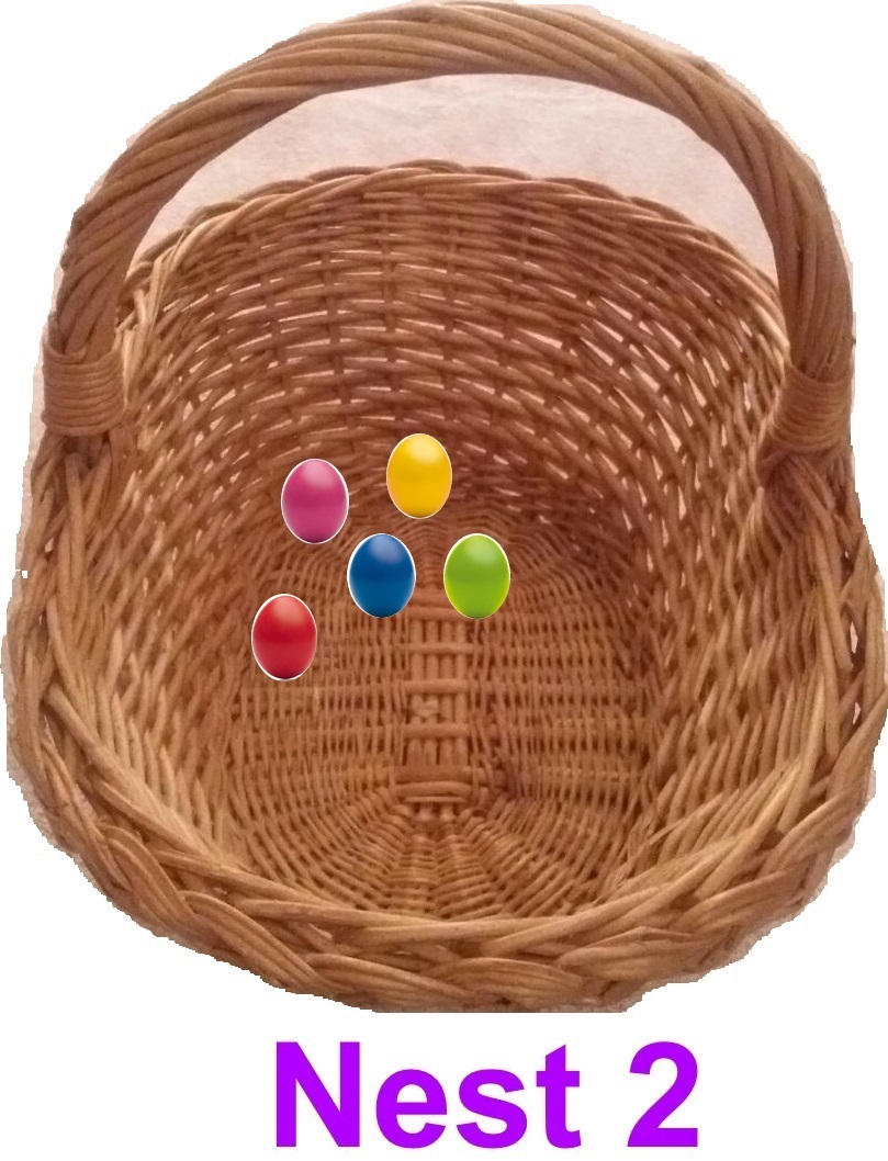 nest2 300316