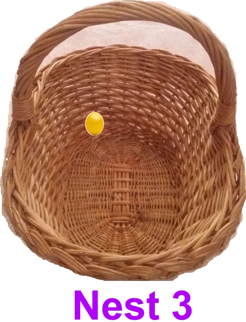 nest3 090316
