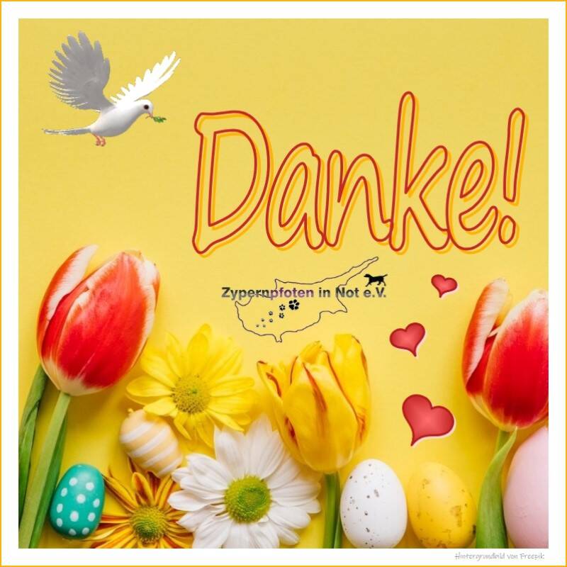 Xmas Aktion 2022 Überschrift N