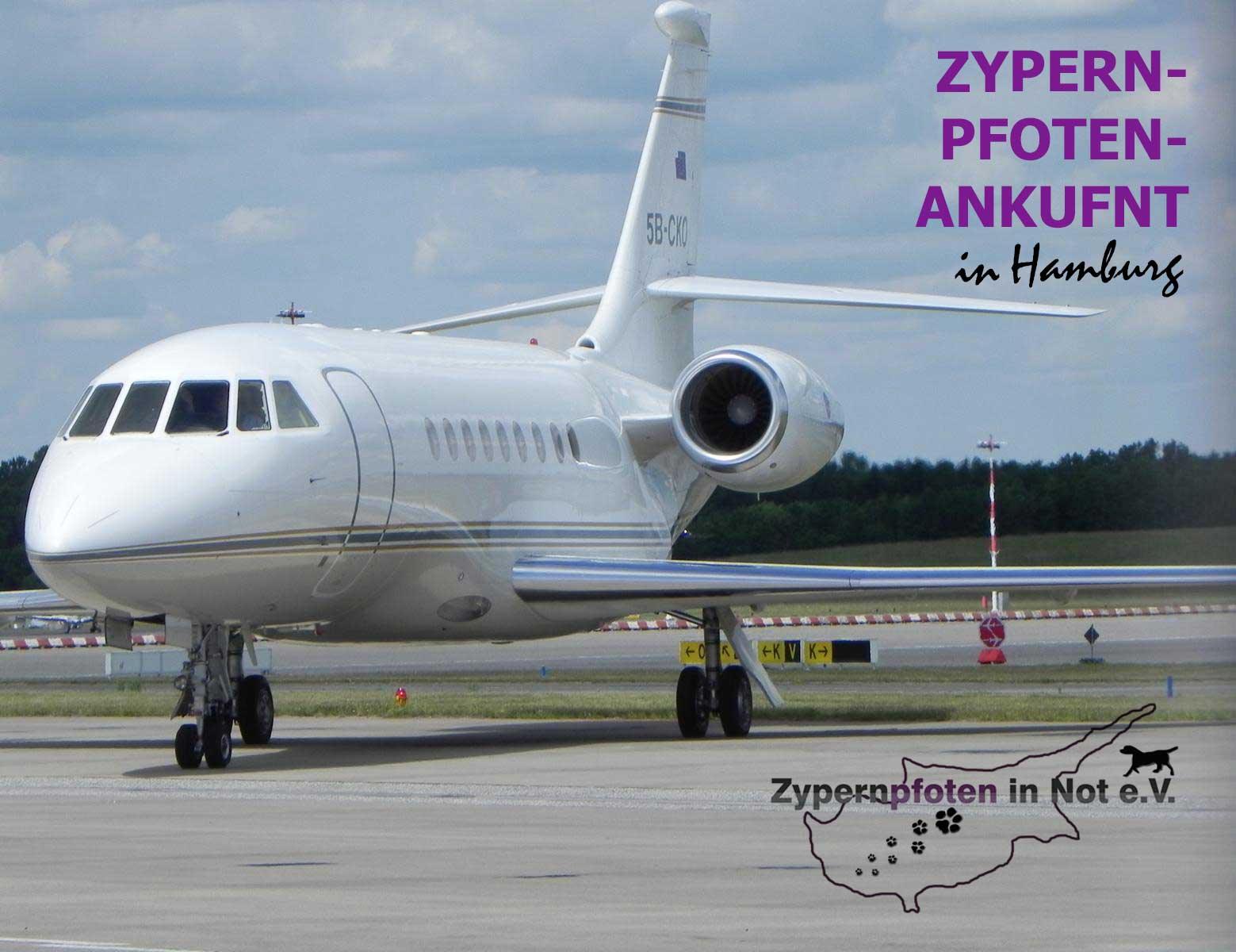 Flugzeug Hund Zypern Tierheim