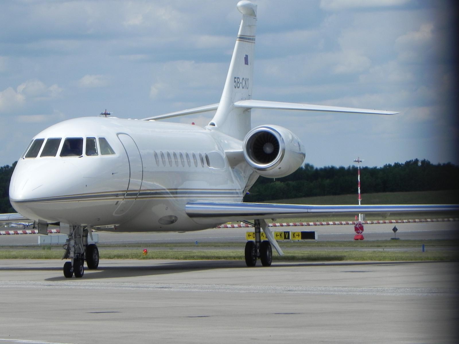 Das Flugzeug aus Zypern mit den Hunden aus dem Tierheim ist angekommen.